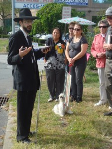 40 Days -- Rabbi Leiter