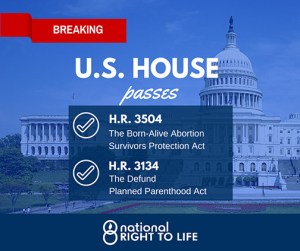 35043134housepassagere