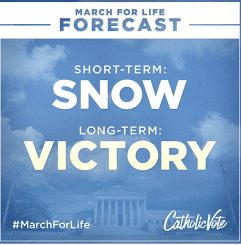 Screen Shot 2016-01-22 at 9.56.07 PM