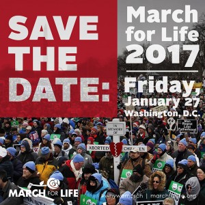 m4l_memes_FEB10-01-300x300