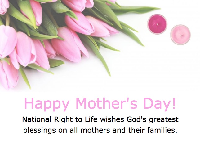 Screen Shot 2018-05-13 at 8.44.26 AM copy