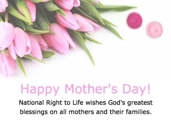 Screen Shot 2018-05-13 at 8.44.26 AM copy